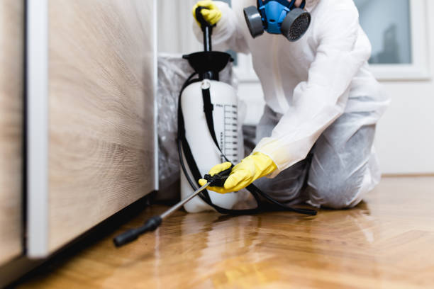 Best Wildlife Control Services  in Moreland, ID