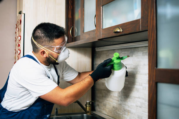 Wasp Removal Services in Moreland, ID