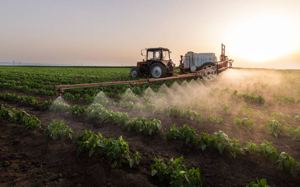 Best Pest Prevention Services  in Moreland, ID