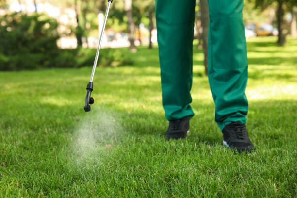 Best Pest Removal Services  in Moreland, ID