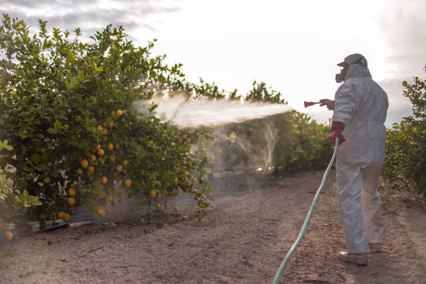 Best Cockroach Control Services  in Moreland, ID