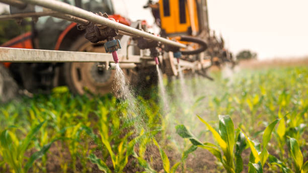 Best Best Pest Control Companies  in Moreland, ID
